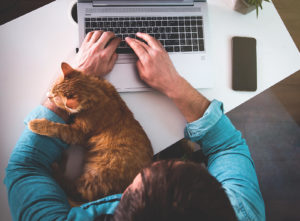 A cat sleeps on their owners arm as they type on a laptop. This could represent the ease of which you can start online therapy in Michigan. Learn more about online anxiety treatment in Kent County, MI by contacting an online therapist in Michigan today.
