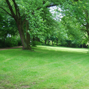 An image of a park. If you need support and care with your anxiety, contact a therapist in Alpena! 